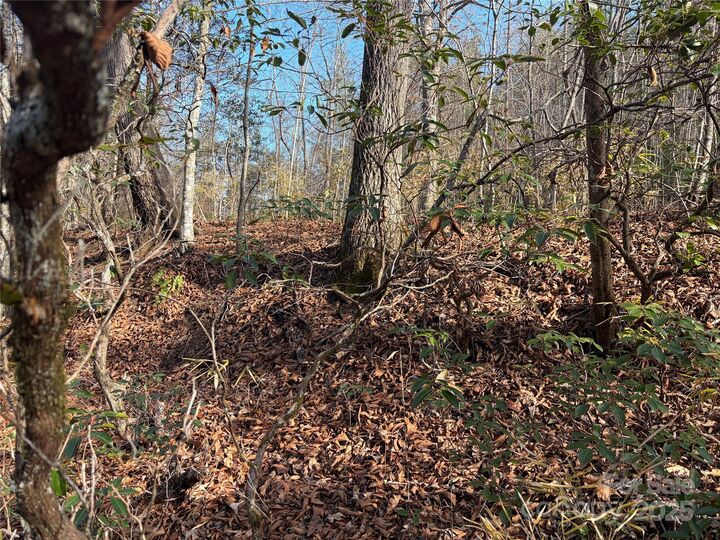 Property Photo:  Lot 49 Harmony Grove Road 49  NC 28761 