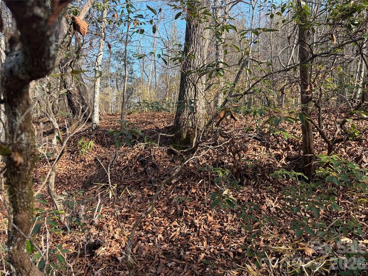 Property Photo:  Lot 49 Harmony Grove Road 49  NC 28761 