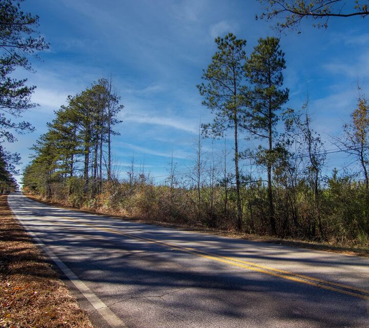 Property Photo:  0 Chestnut Grove Road  GA 31826 