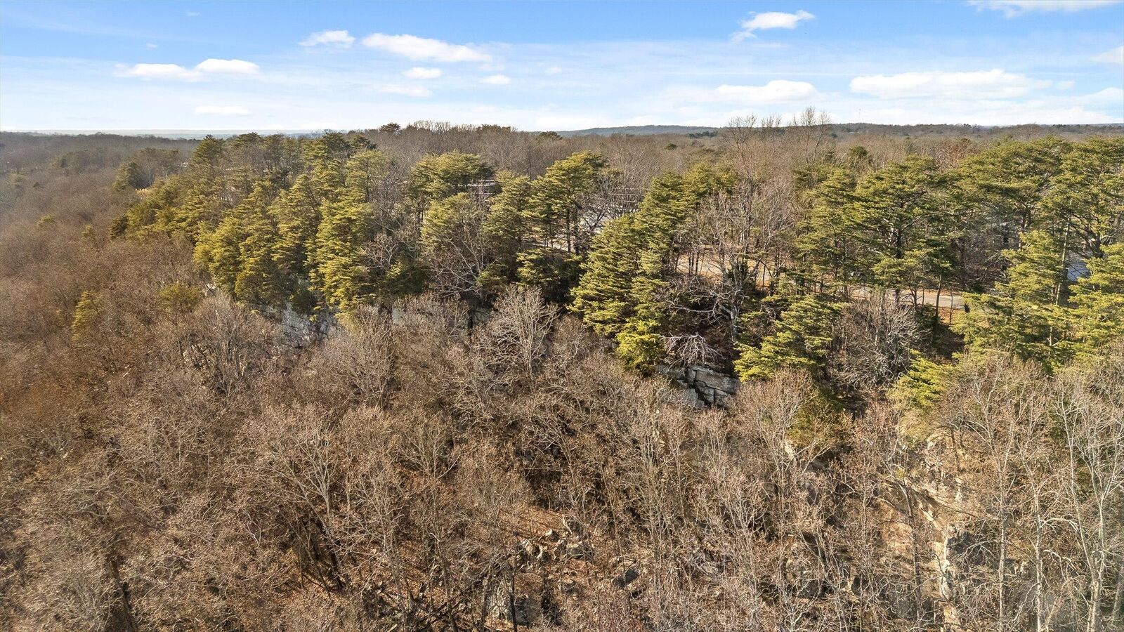 Property Photo:  0 Brow Lot 1, 2, 13 Road  GA 30752 