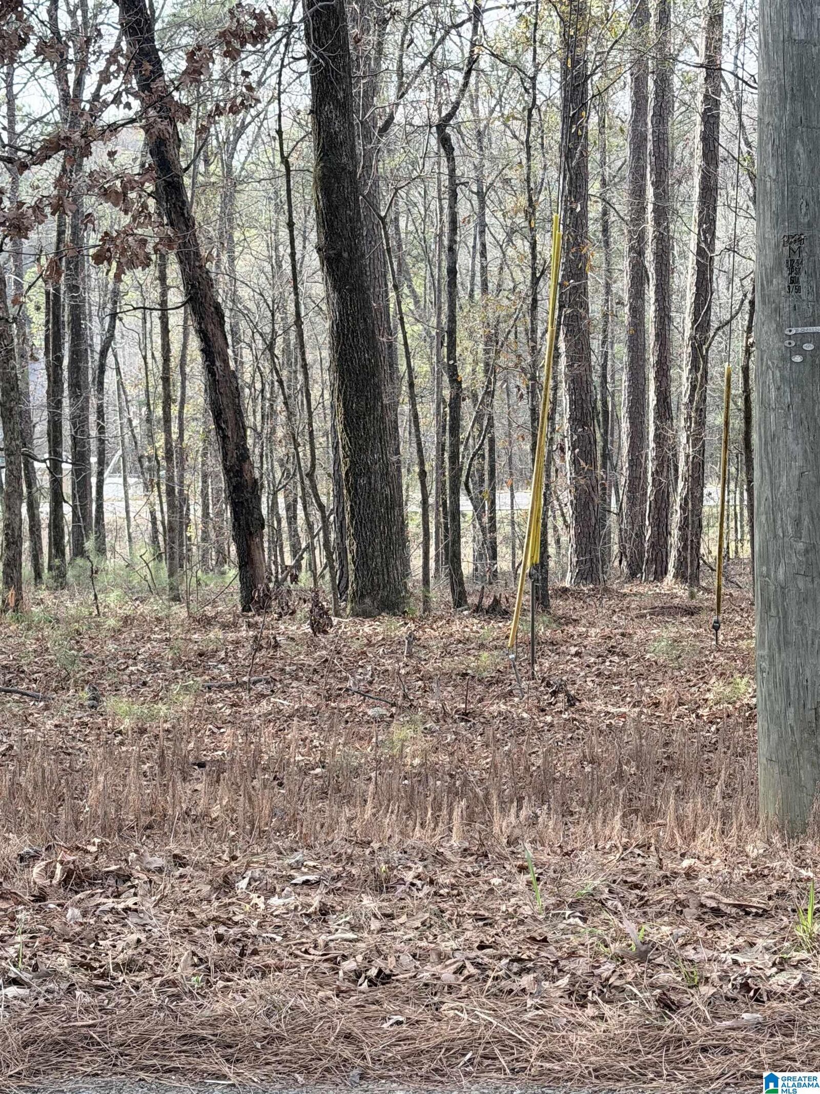 Property Photo:  0 Renfroe Road 5  AL 35014 