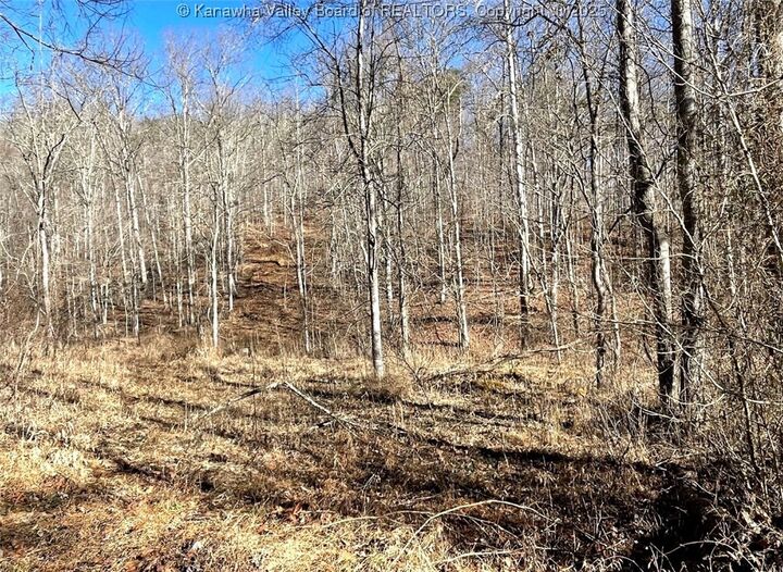 Property Photo:  0 Two Mile Creek Road  WV 25570 