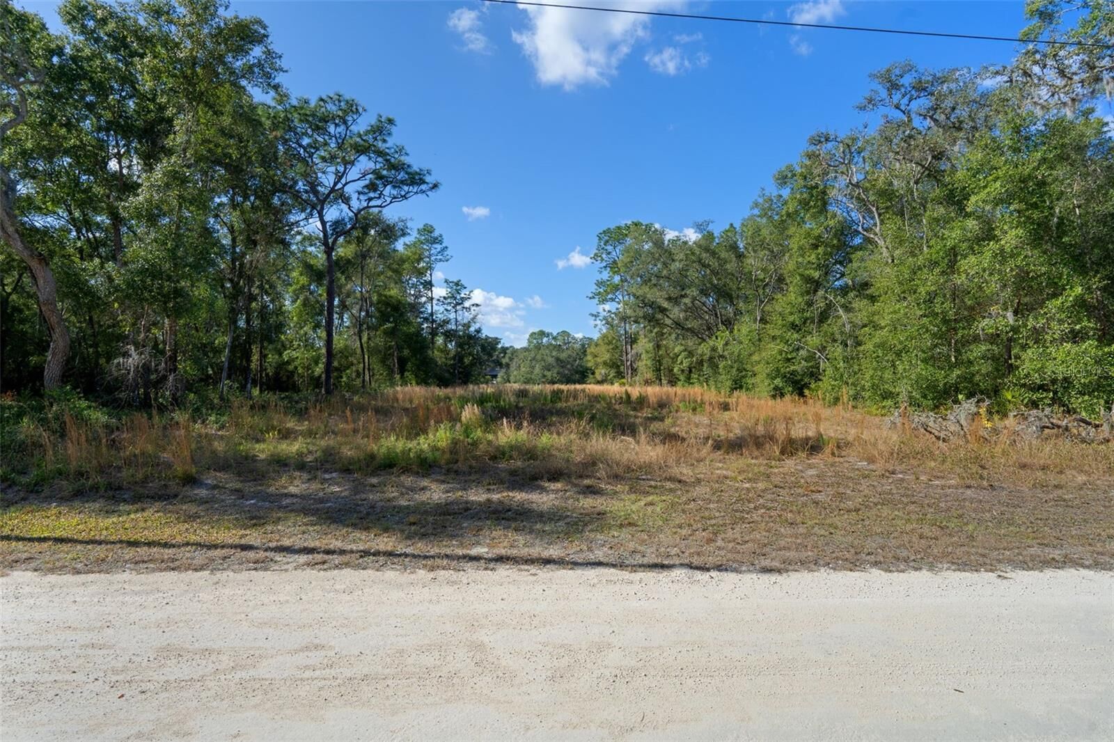 Property Photo: 0 Alloy Street FL 33597