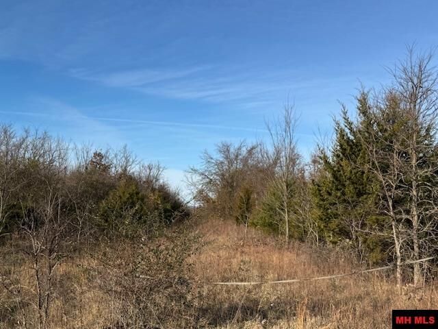 Property Photo:  001-07841-000 Hwy 5 North  AR 72653 