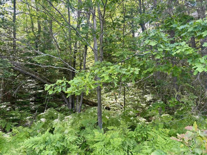 Property Photo:  Parcel B M 553 Highway  MI 49841 