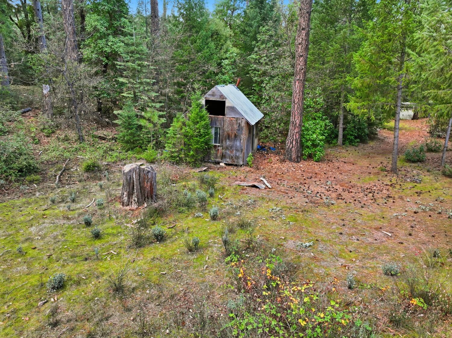 Property Photo:  12050 Buckeye Road  CA 95959 