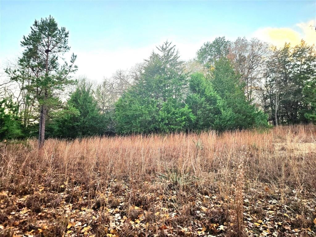Property Photo:  Lot 401 Mallard Way  TX 75770 