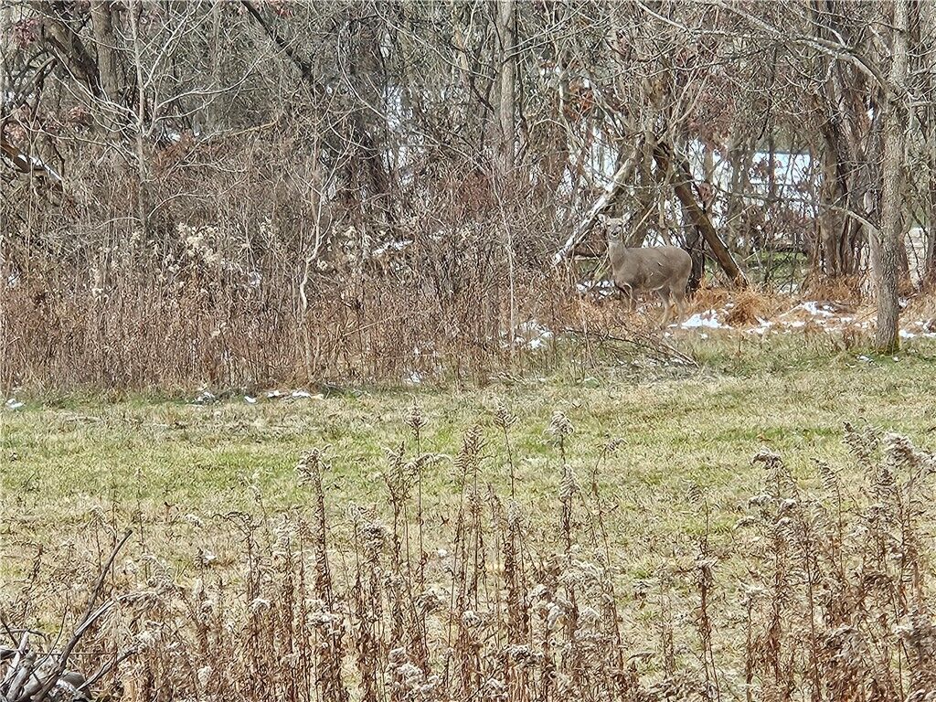 Property Photo:  2505 Lot 2 Guffey  PA 15642 