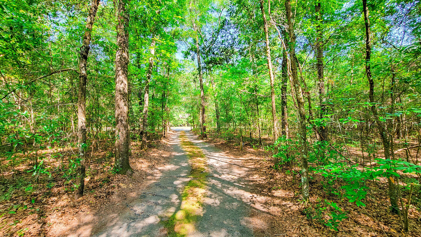 Property Photo:  328 Sandy Springs Circle  SC 29488 