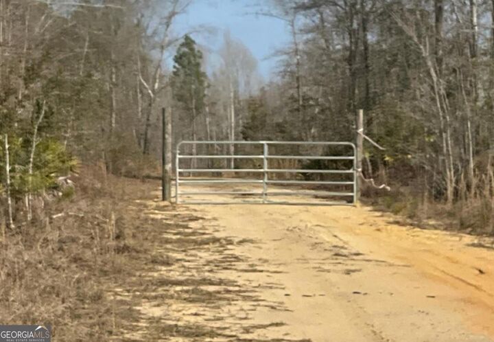 Property Photo: 0 Luther Surrency Road GA 31513