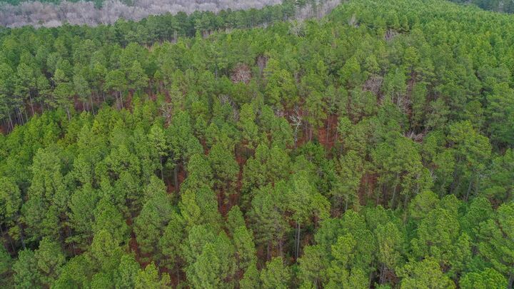 Property Photo:  0000 County Road 1619  TX 75563 