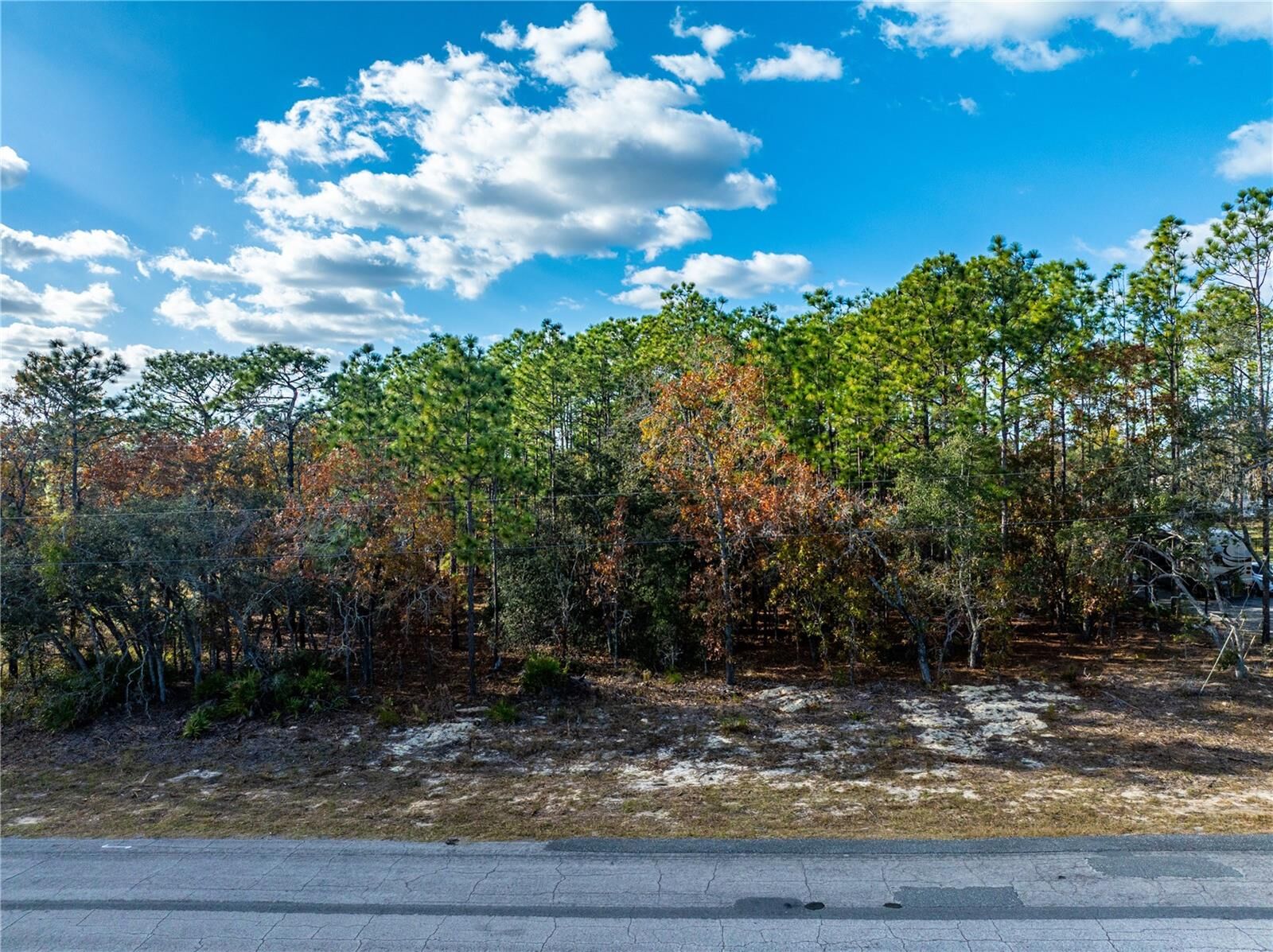 Property Photo:  5426 N Bedstrow Boulevard  FL 34465 