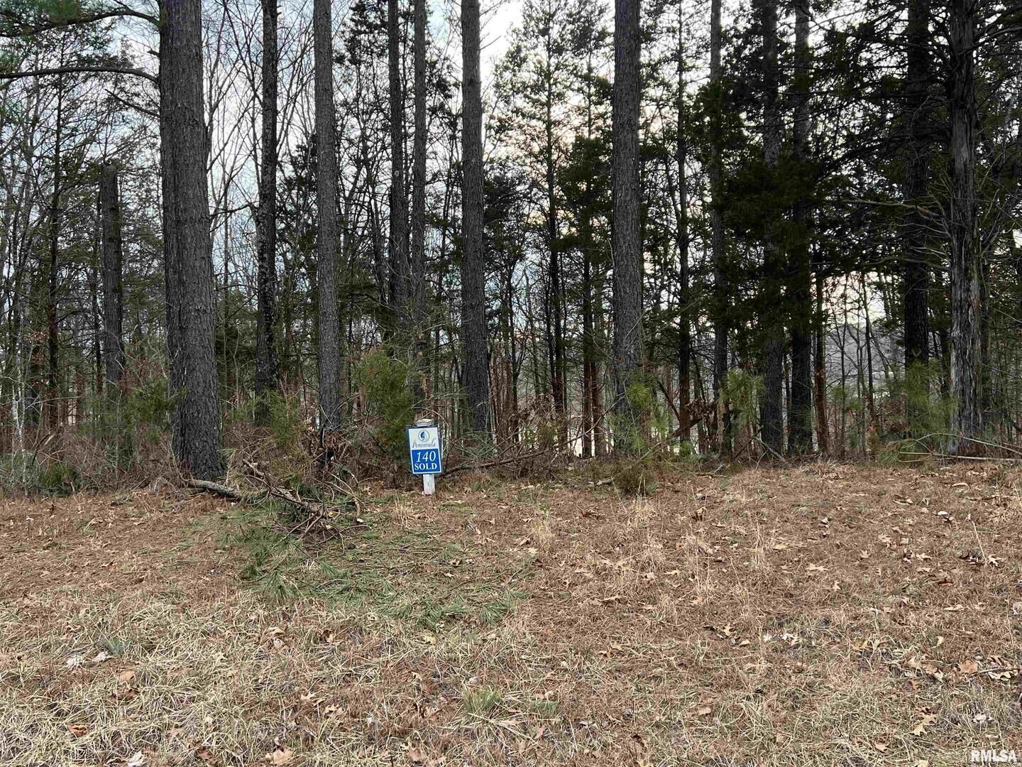 Property Photo: Lot 140 Cherry Point IL 62939