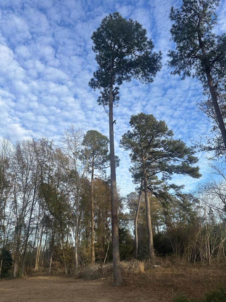 Property Photo:  7 Pembroke Court  SC 29153 