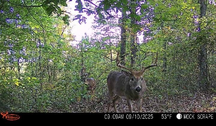 Property Photo: 31382 Stevens Branch Rd OH 45647