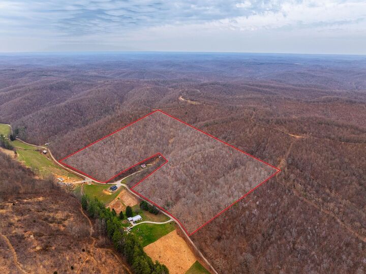 Property Photo:  31382 Stevens Branch Rd  OH 45647 