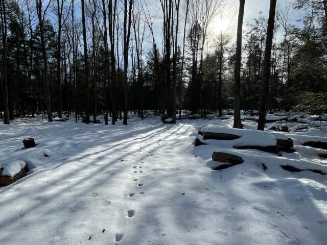 Property Photo:  0 Buells Corners Road  PA 16434 