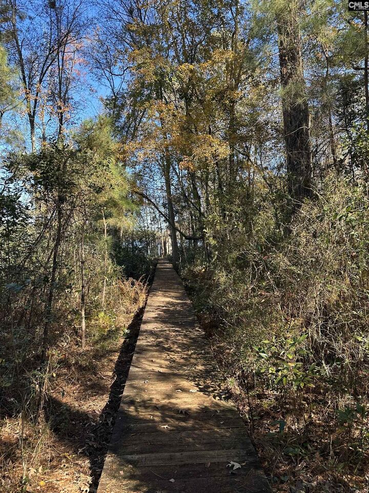 Property Photo: Lot 39 Edisto Lake SC 29164