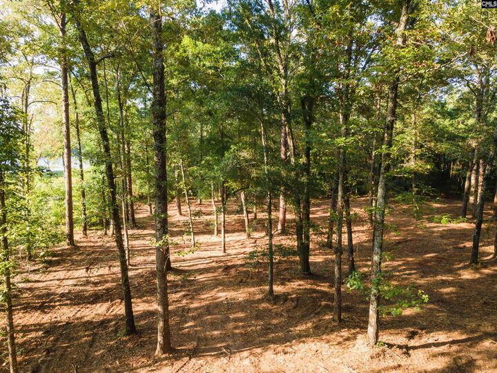 Property Photo:  Lot 39 Edisto Lake  SC 29164 