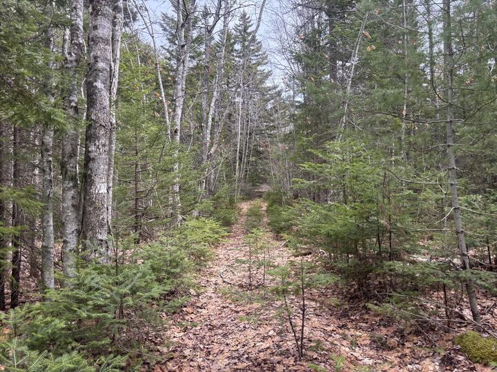 Property Photo:  M11l17 Rogers Point Road  ME 04680 