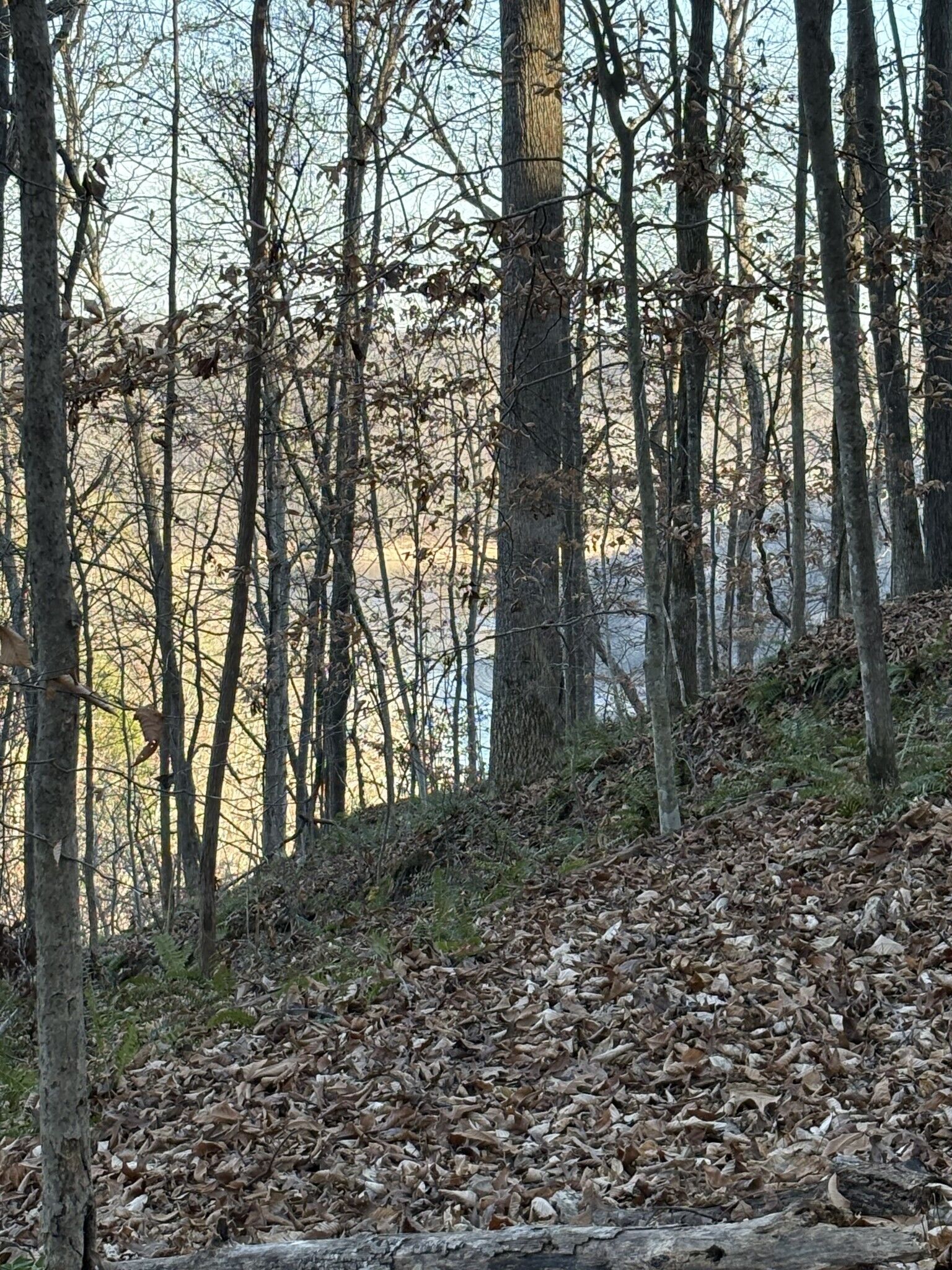 Property Photo: 0 Mountain Lake Lane TN 38583