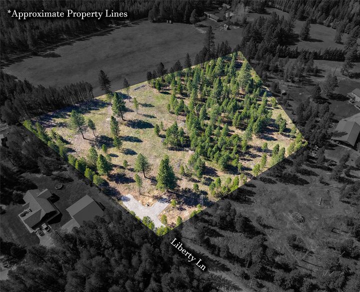 Property Photo: Lot 2D Liberty Lane MT 59923
