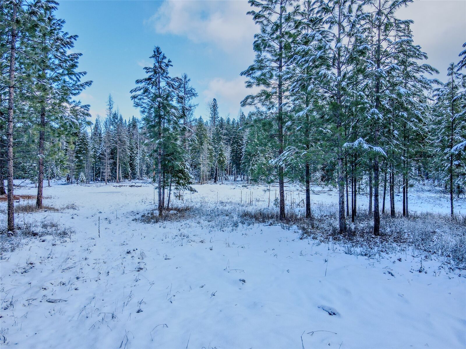 Property Photo:  Lot 2C Liberty Lane  MT 59923 