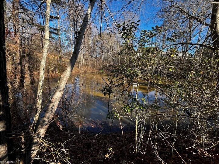 Property Photo:  0000 Virgilina Circle  VA 24317 