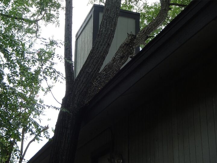 Property Photo:  617 Luther Drive B  TX 78628 