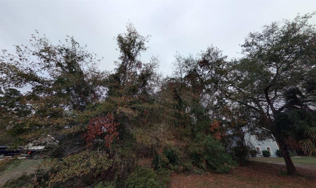 Property Photo: 0 Laffites Way FL 32097