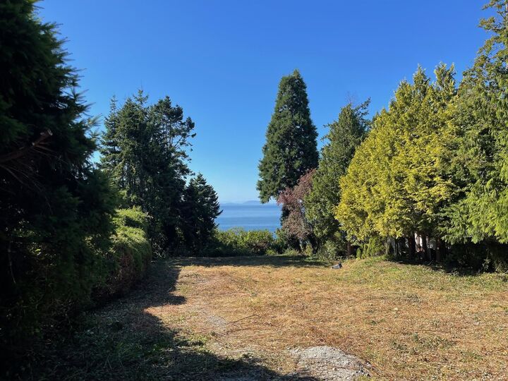 Property Photo: 13536 13A Avenue BC V4A 1C4