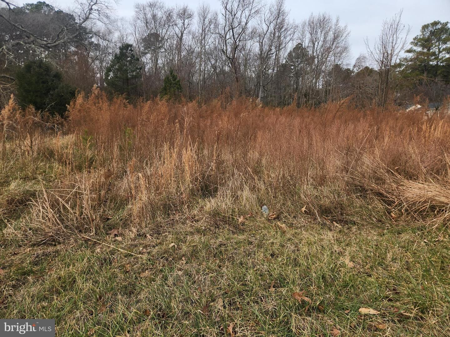 Property Photo:  22092 Royal Oak Road  MD 21856 