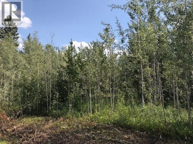 Property Photo:  Dl 3131 Upper Fraser Road  BC V0J 3M0 