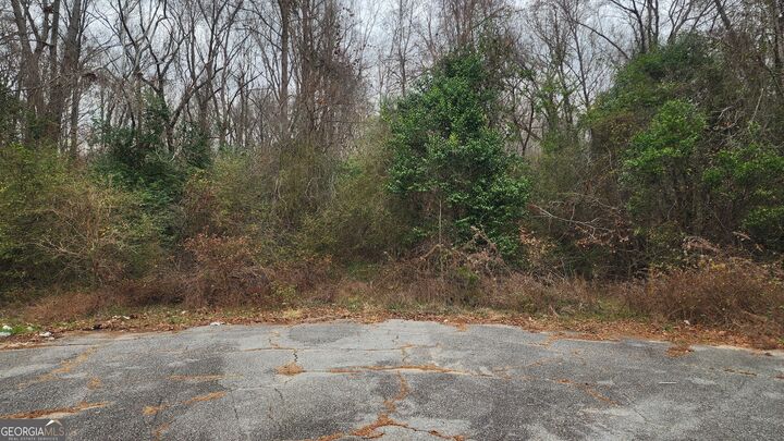 Property Photo:  0 Kings Court N  GA 31211 