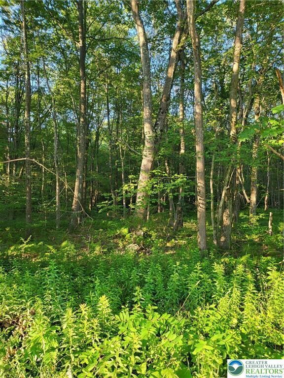 Property Photo: 168 Cross Street 3 PA 18347