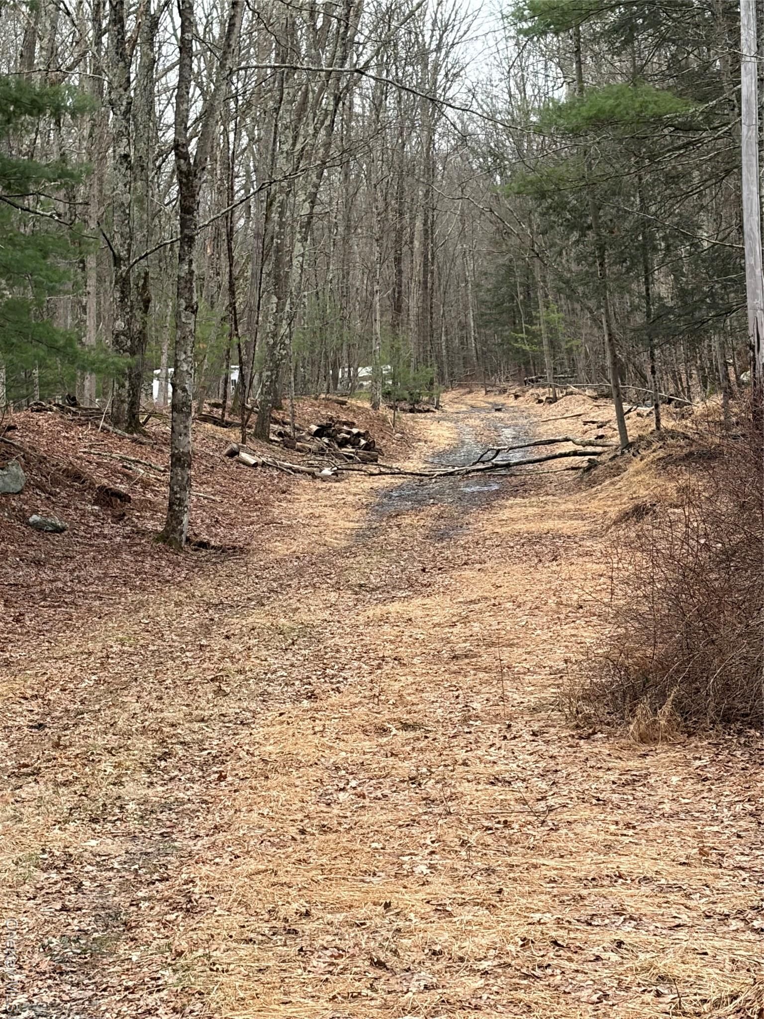 Property Photo:  0 Red Hill Road  NY 12790 