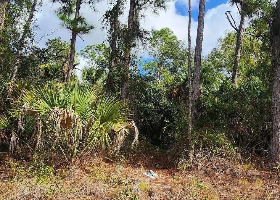 Property Photo:  Ananas Road  FL 34288 
