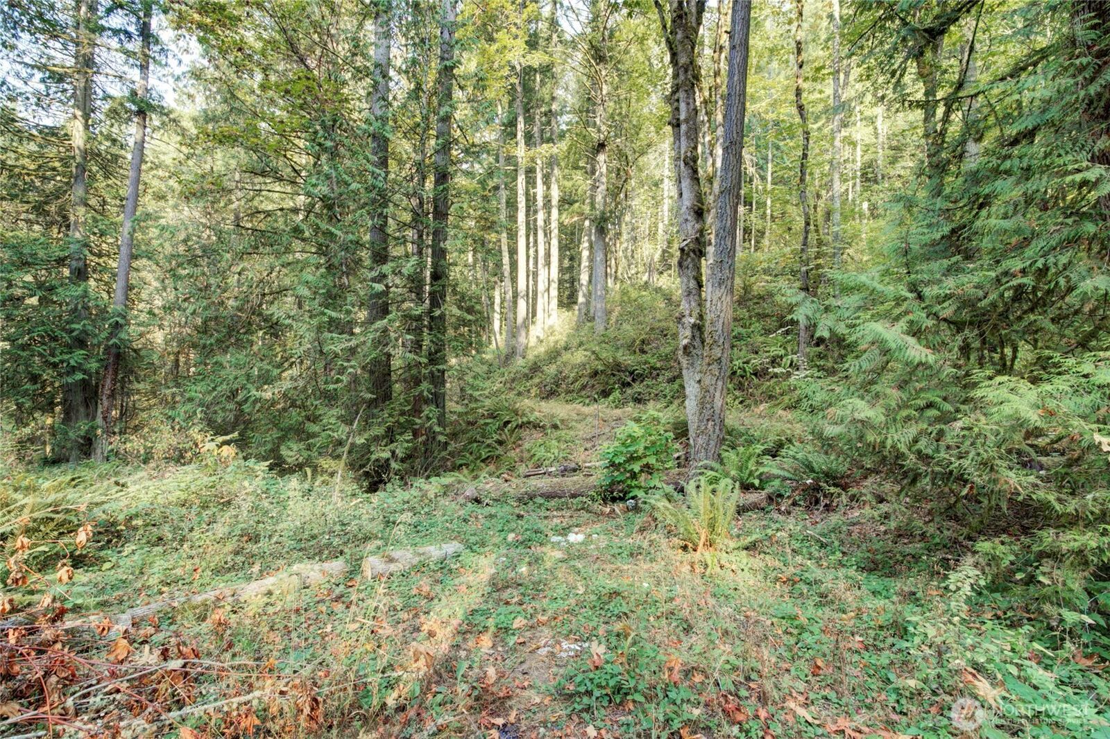 Property Photo: 37 Xxx SE 212th Way WA 98075