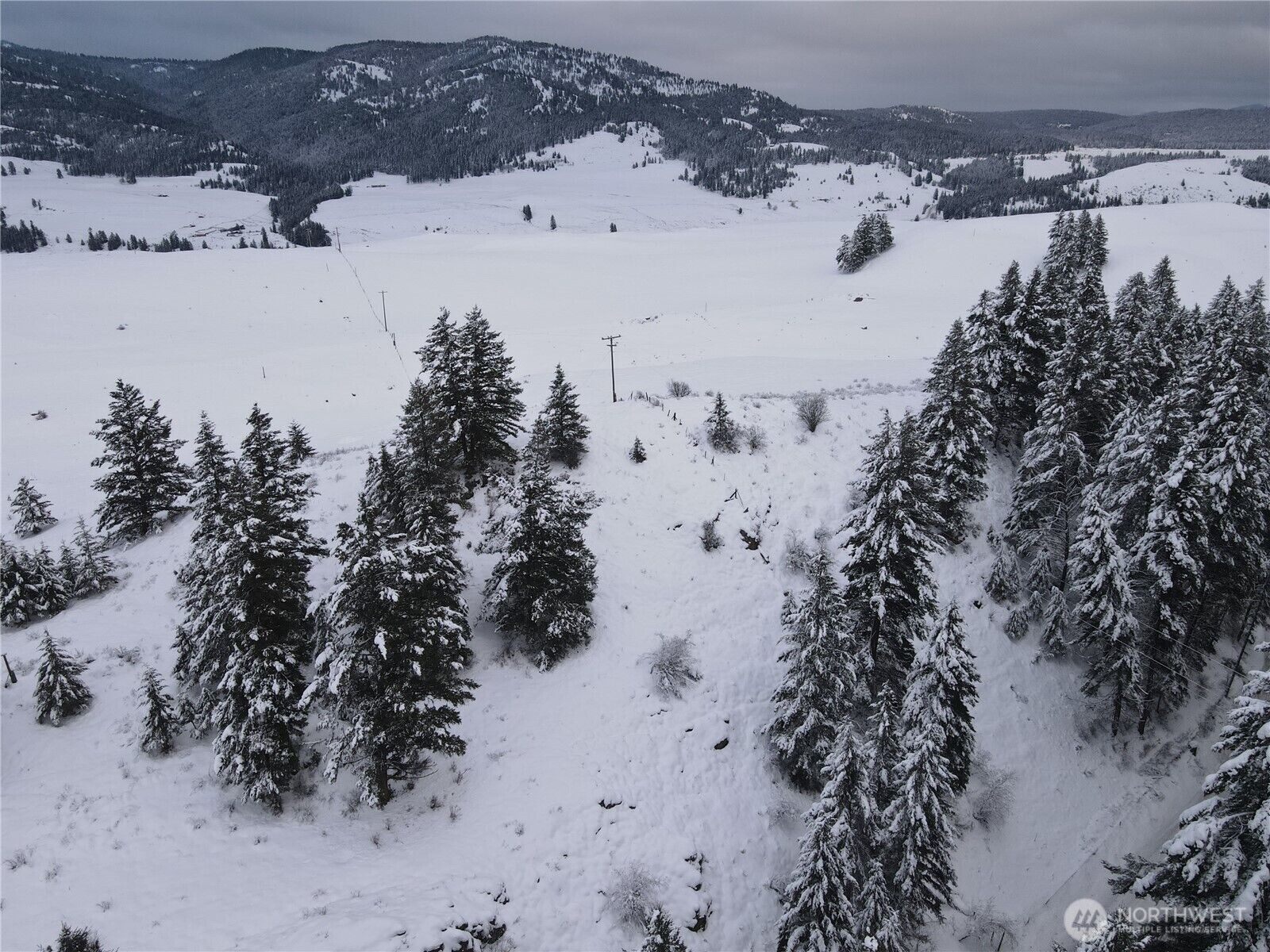 Property Photo:  0 Lot 38  Mountain View Road  WA 98844 