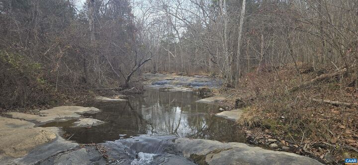 Property Photo: Lot 6 Evelyns Way VA 22973
