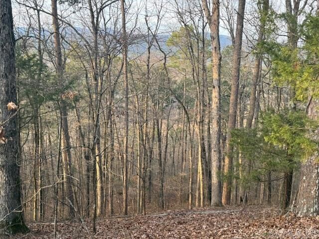 Property Photo:  Off Hwy 164  AR 72846 