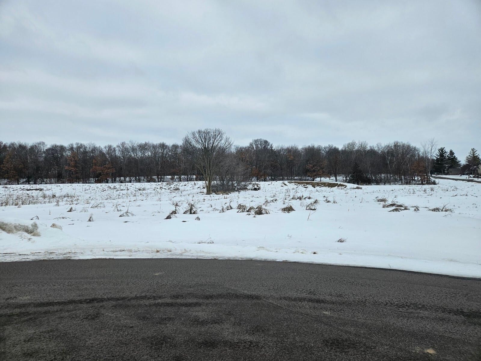 Property Photo:  Lot 5, Block 3 1st St NE  MN 56375 