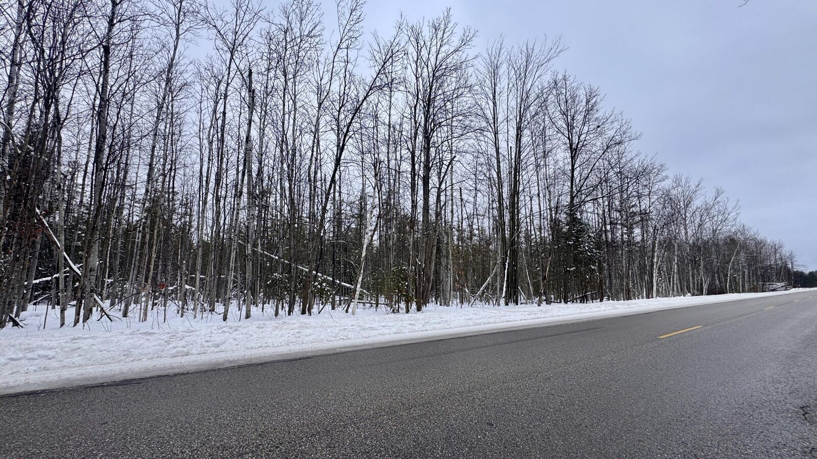 Property Photo:  V/L 89.1ac E Levering Road  MI 49755 