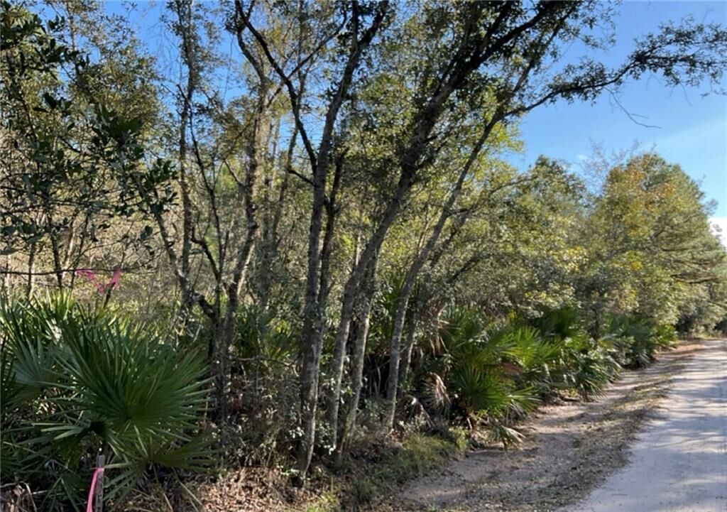 Property Photo:  0 Deerwood Creek Estates Road  GA 31565 