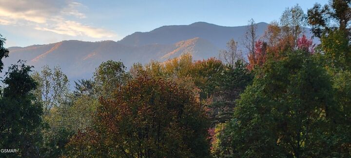 Property Photo: 1613 Lake Drive TN 37738