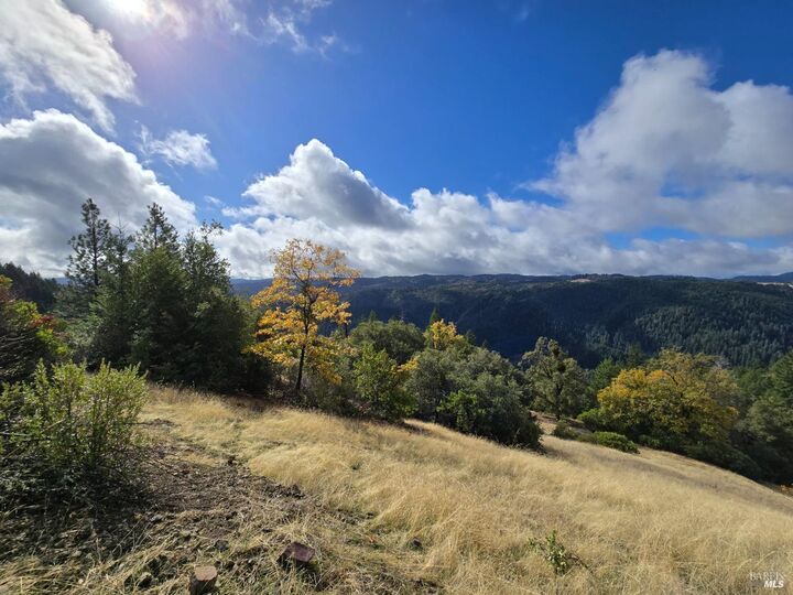 Property Photo:  32120 Shimmins Ridge Road  CA 95490 