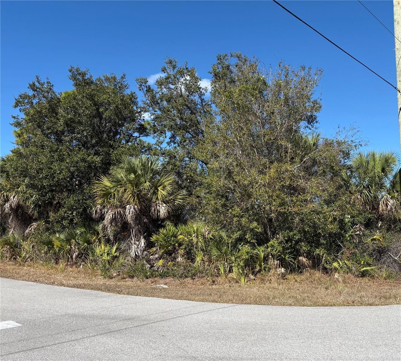 Property Photo:  14376 Aldridge Avenue  FL 33953 