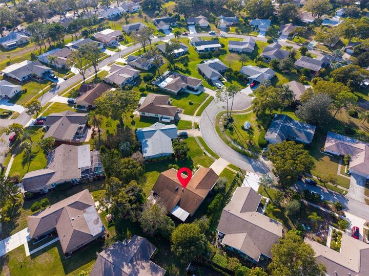 Property Photo:  1658 Macdonnell Court  FL 34684 