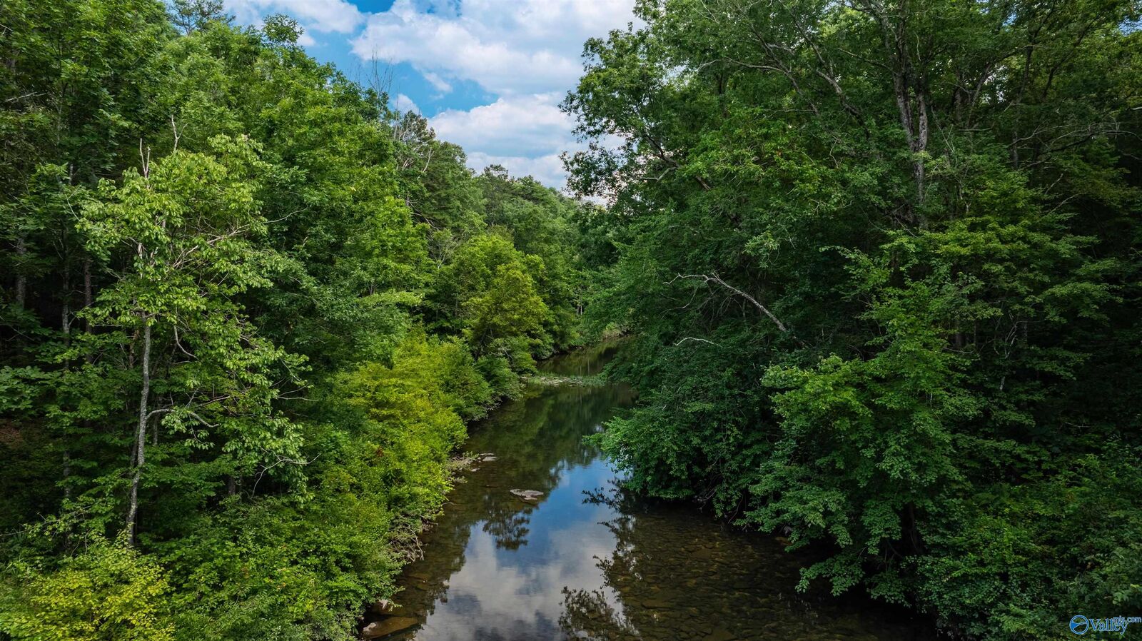 Property Photo:  8.7 Acres County Road 632  AL 35984 