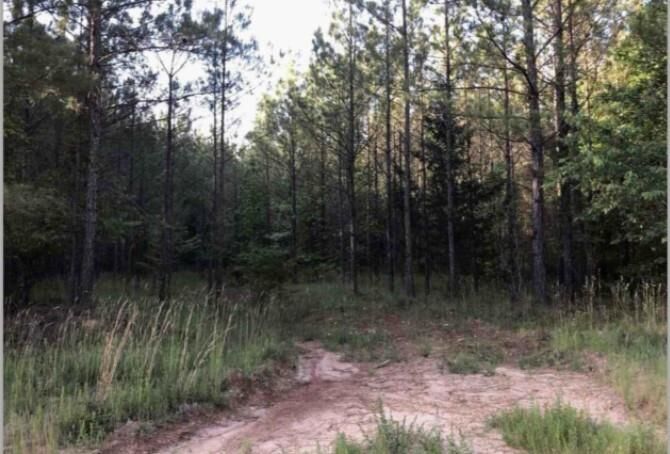 Property Photo: 0 Lower Mill Road GA 30631
